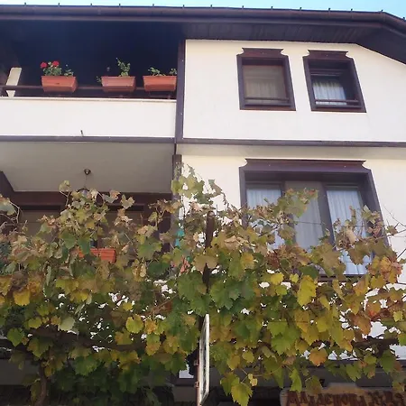 ゲストハウス Mladenova House ズラトグラッド